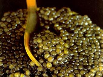 http://www.russiansanfran.com/ic/img.lenta.ru/news/2007/08/24/caviar/picture.jpg