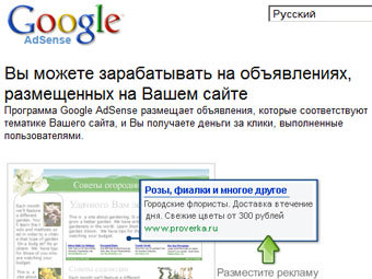    Google AdSense