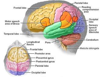    thinkquest.org 
