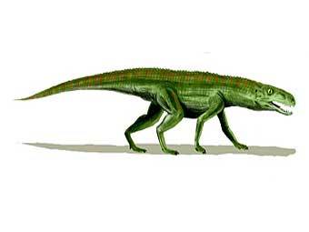Предположительный внешний вид архозавра Gracilisuchus, относящегося к группе Crurotarsi. Изображение пользователя ArthurWeasley с сайте wikipedia.org Предположительный внешний вид архозавра Gracilisuchus, относящегося к группе Crurotarsi. Изображение пользователя ArthurWeasley с сайте wikipedia.org