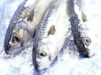 Фото с сайта omega-3-fish-benefits.com Фото с сайта omega-3-fish-benefits.com