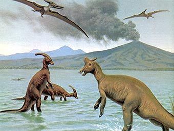 Иллюстрация с сайта dinogems.com Иллюстрация с сайта dinogems.com