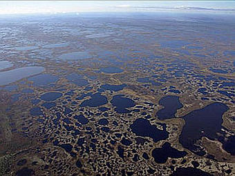     . ,    ,      .    marshruty.ru