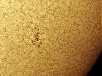 Одна из групп новых пятен на Солнце. Фото Alan Friedman Одна из групп новых пятен на Солнце. Фото Alan Friedman