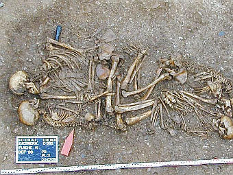 Останки семьи: мать, отец и двое сыновей. Возраст останков 4600 лет. Фото авторов исследования Останки семьи: мать, отец и двое сыновей. Возраст останков 4600 лет. Фото авторов исследования