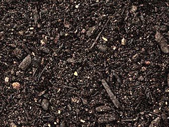   .    anlscape.sitesuite.ws