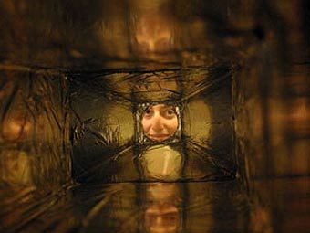      .  Donna Coveney   web.mit.edu