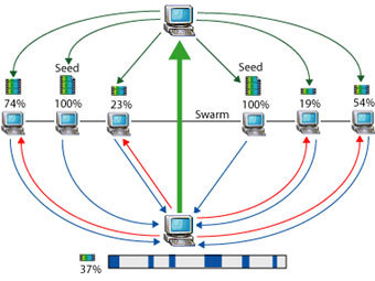    BitTorrent,    umkc.edu
