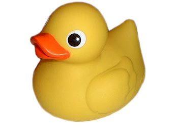    californiasailplanes.com