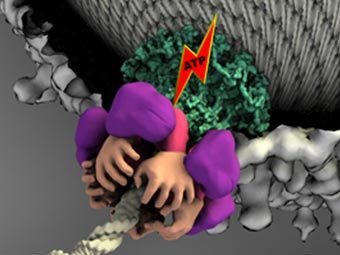     .   -    ,   .    purdue.edu.