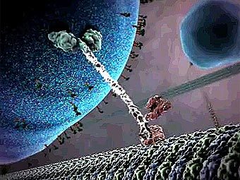        -  - ""   .    parkleberrysprings.com. ""      .