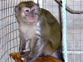   .    cefn-yr-erw.co.uk