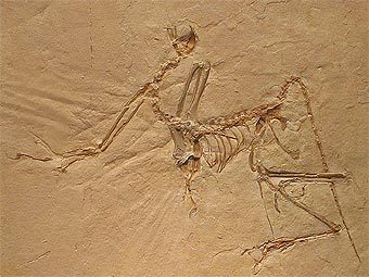  ,     1991 .   Luidger   wikipedia.org