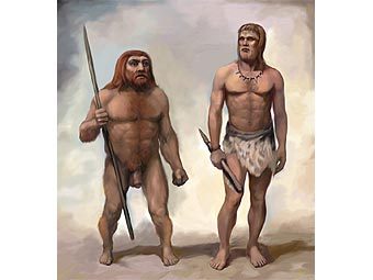     ()       .    macroevolution.narod.ru