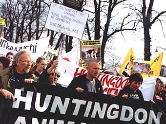  ""    Huntingdon Life Sciences.    zhestokosti.net