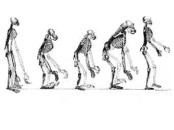      ,      .   Fastfission   wikipedia.org