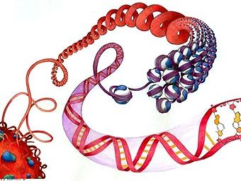        ,      .     .         ,   .    scienceinschool.org