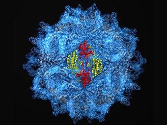      PsV-F.  J. Pan and  Y.J. Tao, Rice University