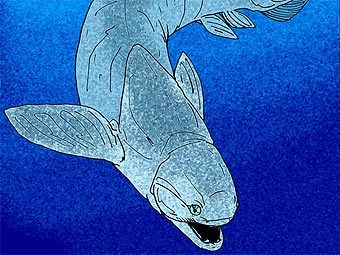      Titanichthys agassizi.   Haplochromis   wikipedia.org