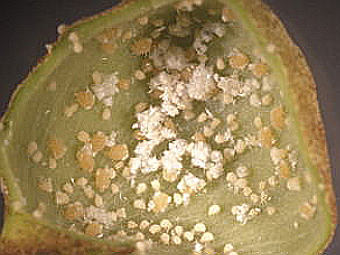    .     .    aist.go.jp