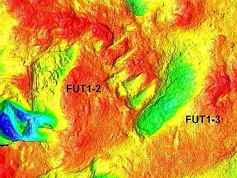       .       ( -  ,  -  ).    Homo ergaster ( ),  FUT1-2  FUT1-3 