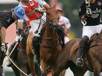    mundopolo.com