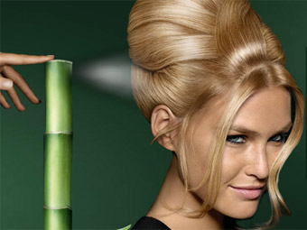  Fructis Style   Garniere