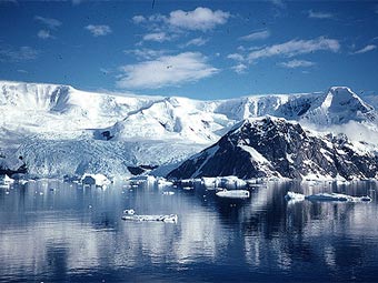    marinebio.net