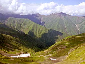    pankisi.org.