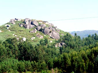    --.    vieiraminhoturismo.com