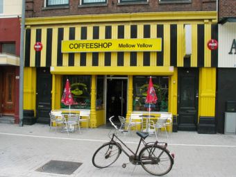   .    amsterdam.info