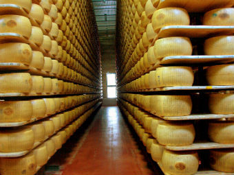     .   Zerohound   Wikipedia