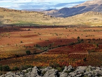    (Diyarbakir)  ,    "-".  (c) AFP